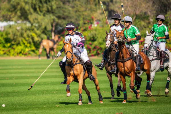 The Dubai Silver Cup 2025: A Spectacular Polo Tournament